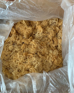 GOLD SEA MOSS, LARGE QUANTITIES OVER 5LBS